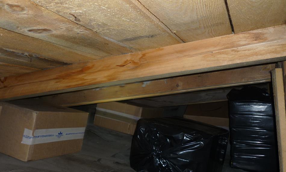 2013-1-17-1239Dubí_klid2 (7).JPG